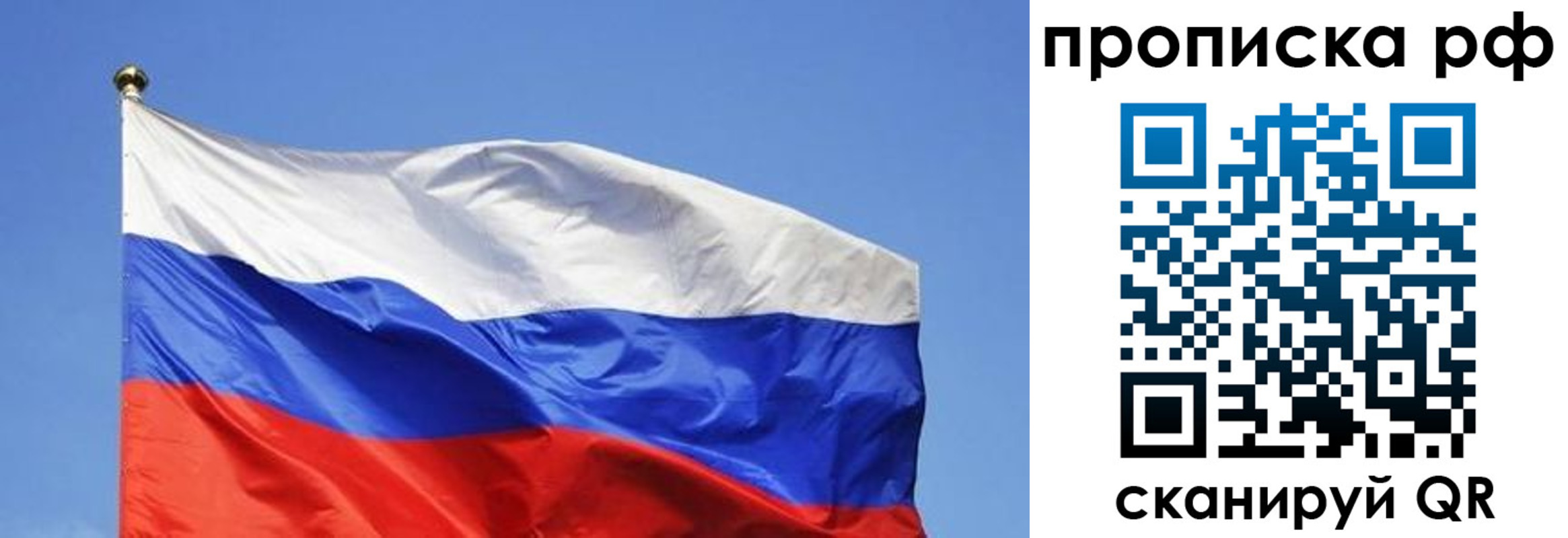 прописка поиск в Железногорске