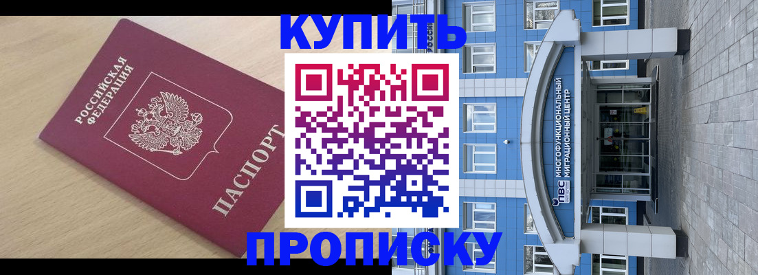 прописка поиск в Железногорске